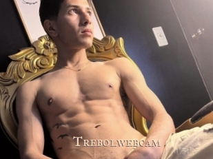 Trebolwebcam