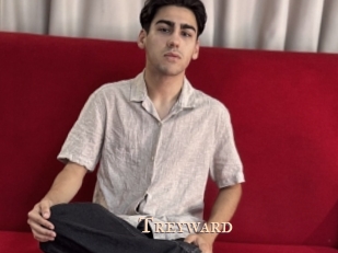 treyward Pink Center Fold