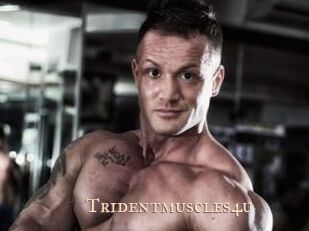 Tridentmuscles4u