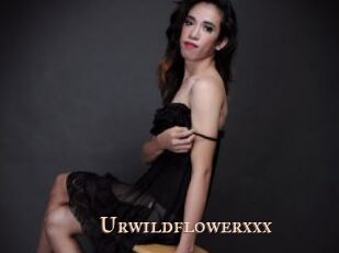 Urwildflowerxxx