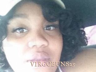 VIRGOBUNS25