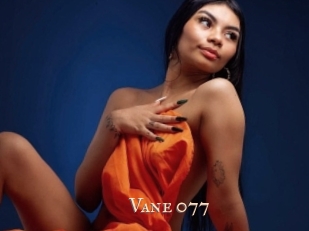 Vane_077