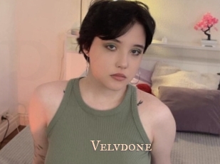 Velvdone