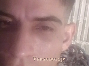 Vergudo1235