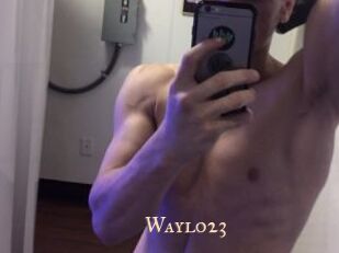 Waylo23