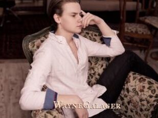 WayneGalager
