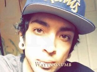 Waytoonumb