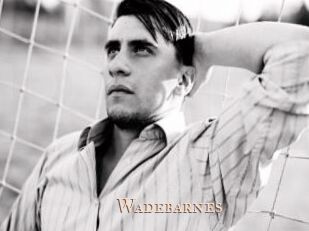 Wadebarnes