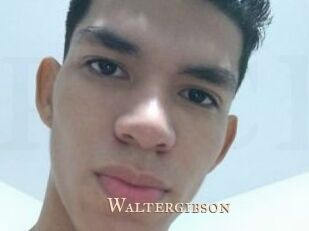 Waltergibson