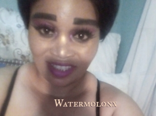 Watermolonx