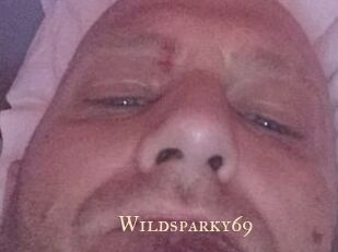 Wildsparky69