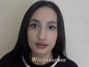 Wilonegorse