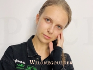 Wilonegoulder