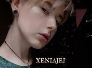 XENIA_JEI