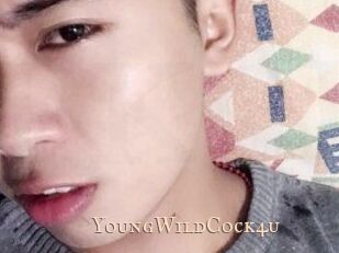 YoungWildCock4u