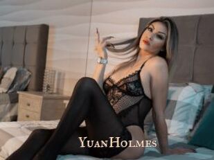 YuanHolmes