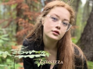 Zadnizza