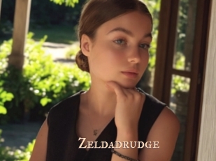 Zeldadrudge