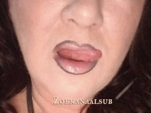 Zoekanaalsub